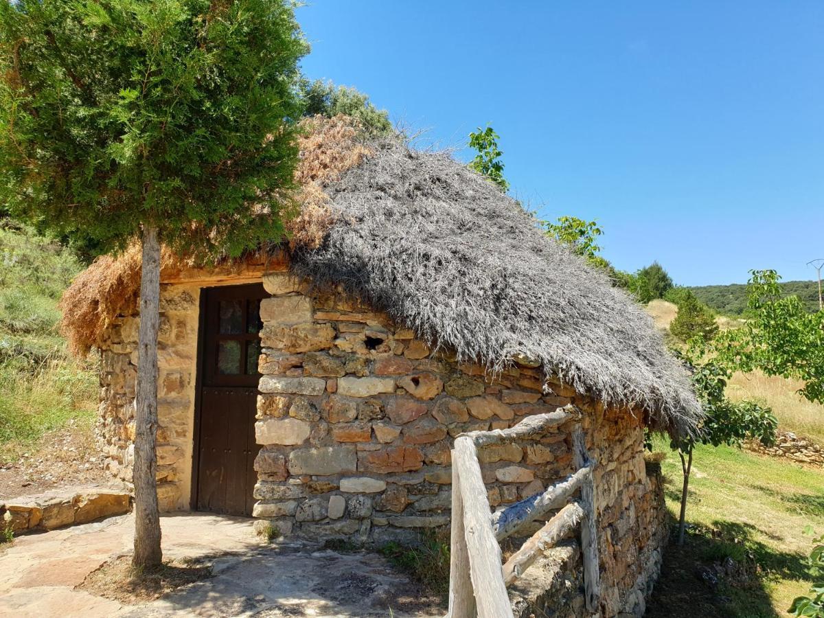 Casa Rural Don Rosendo Olmeda de Cobeta Kültér fotó